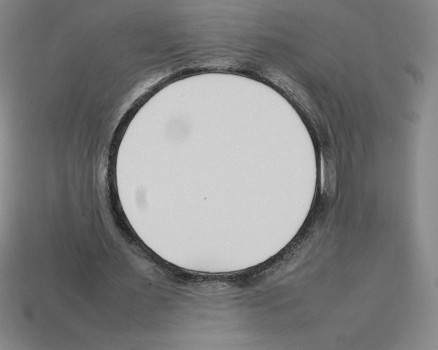 X0000112750483200910011157