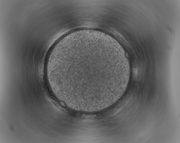 X0000112750484200910011157