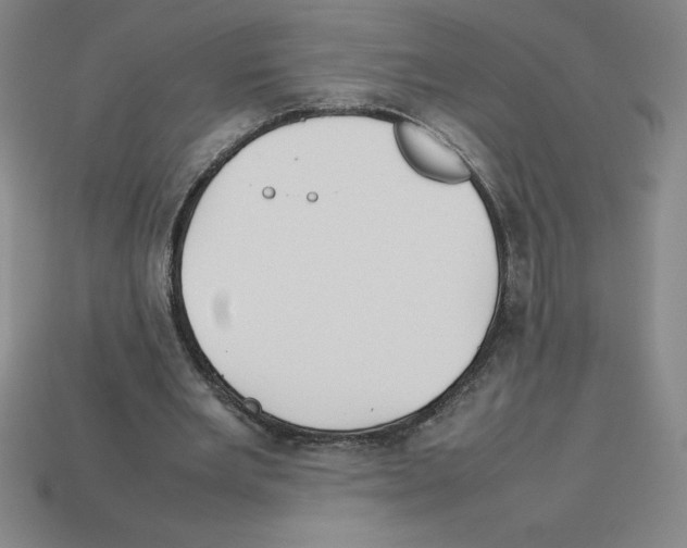 X0000112750485200910011157