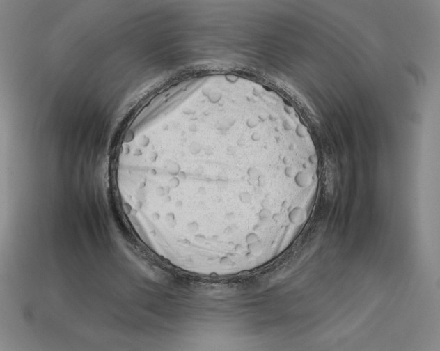 X0000112750486200910011157