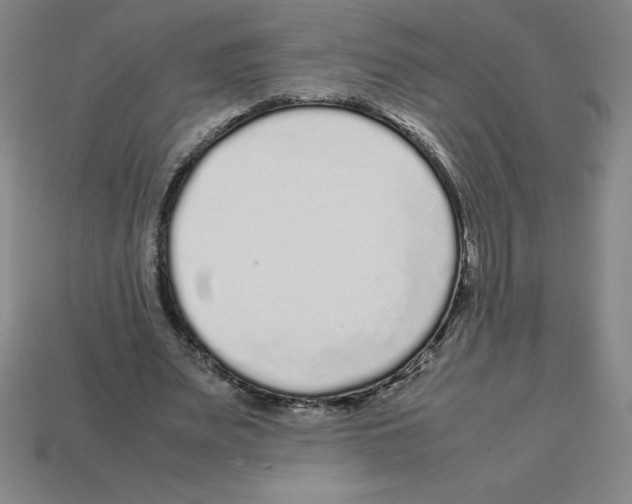 X0000112750487200910011157