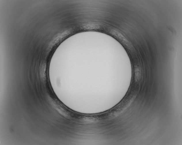 X0000112750490200910011157