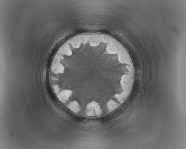 X0000112750491200910011157