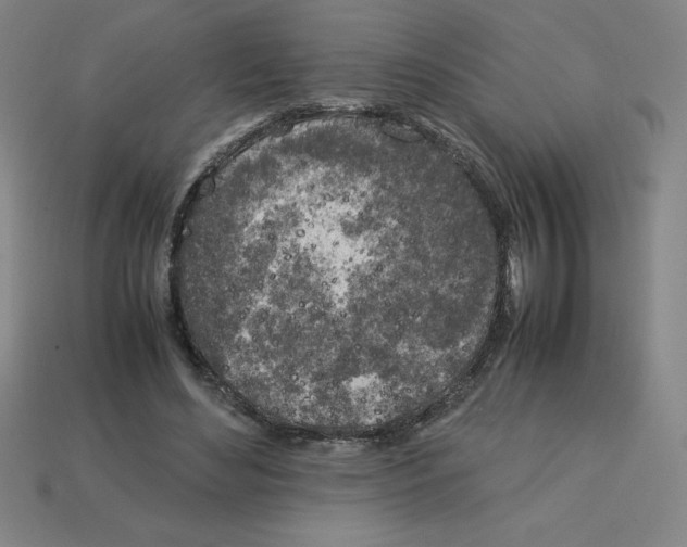 X0000112750492200910011157