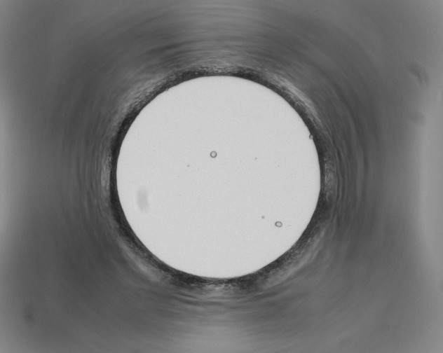 X0000112750493200910011157