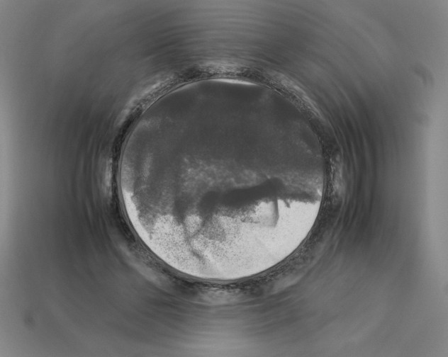 X0000112750494200910011157