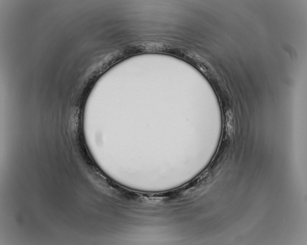 X0000112750495200910011157