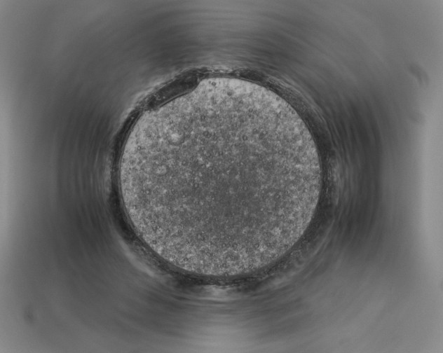 X0000112750496200910011157