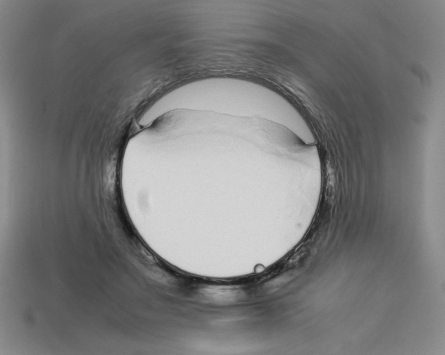 X0000112750499200910011157