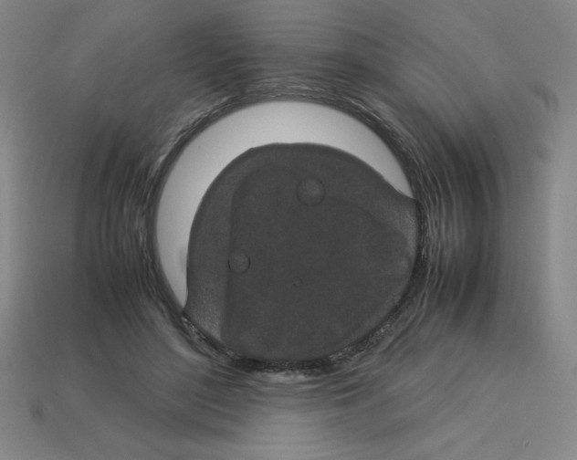 X0000112750500200910011157