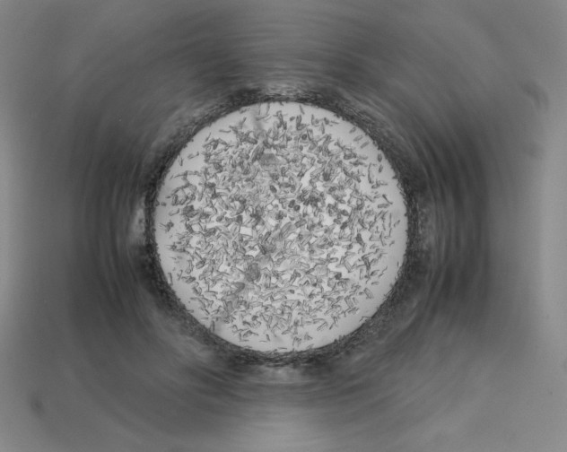 X0000112750502200910011157