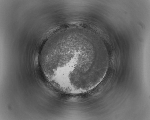 X0000112750504200910011157