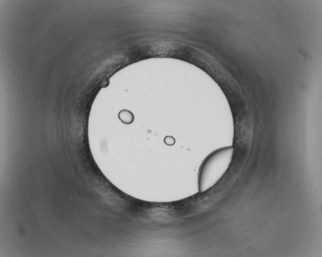 X0000112750505200910011157