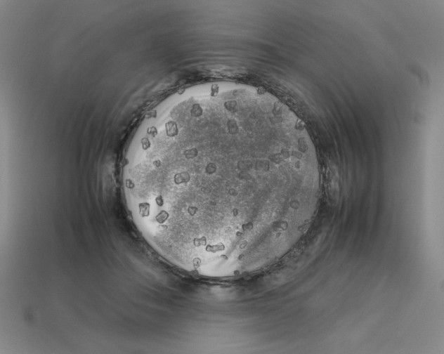 X0000112750506200910011157