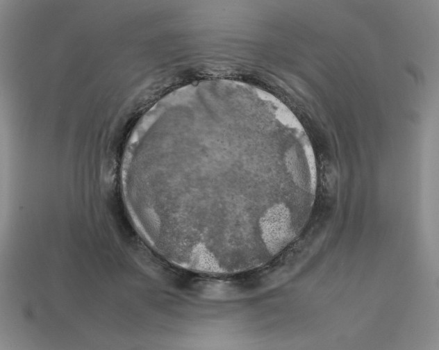 X0000112750507200910011157