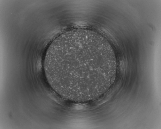 X0000112750508200910011157