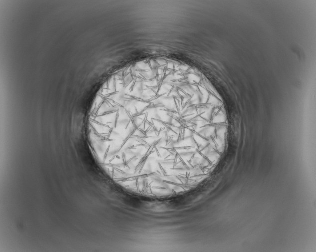 X0000112750511200910011157