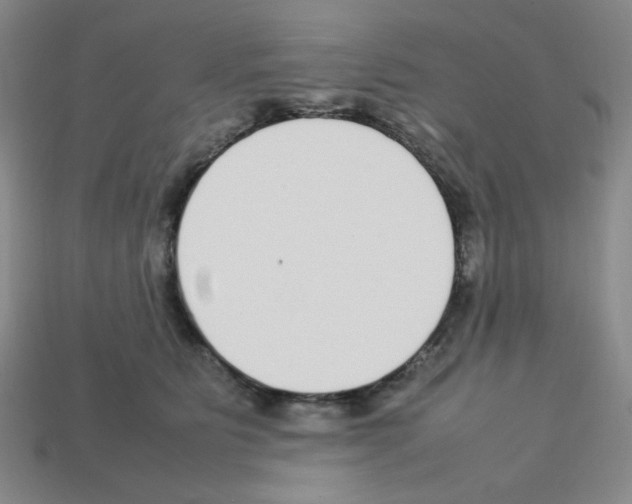 X0000112750515200910011157