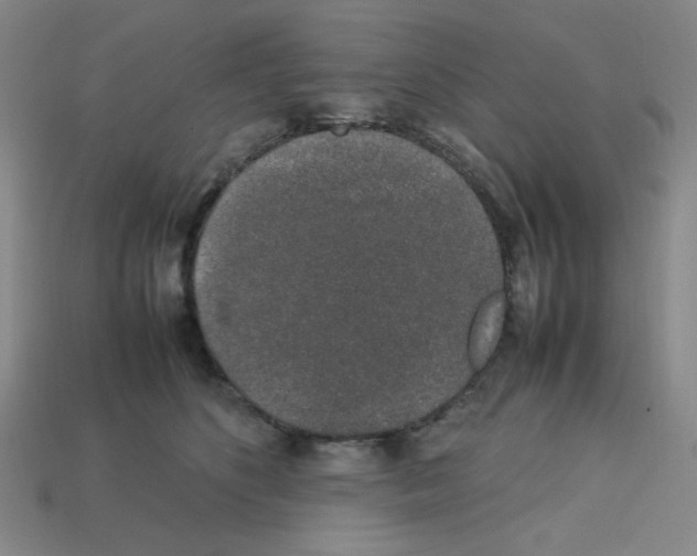 X0000112750516200910011157