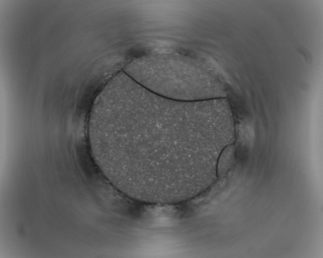 X0000112750517200910011157