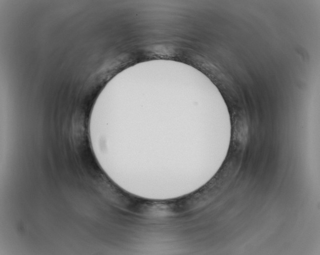 X0000112750518200910011157