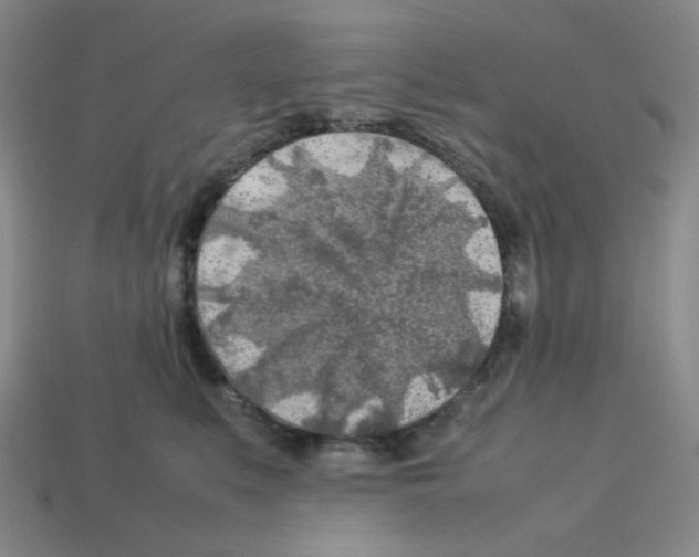 X0000112750519200910011157