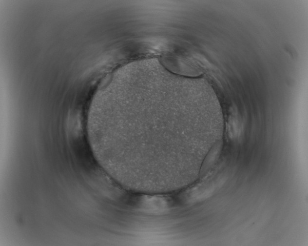 X0000112750520200910011157