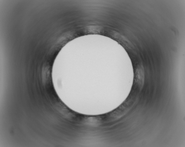 X0000112750522200910011157