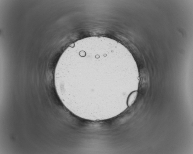 X0000112750523200910011157