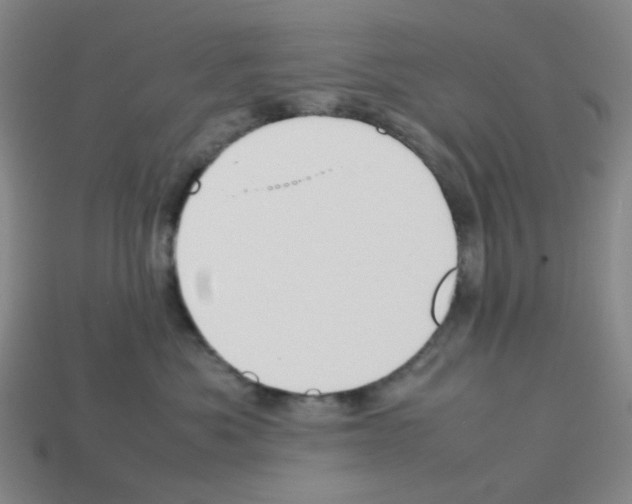 X0000112750525200910011157