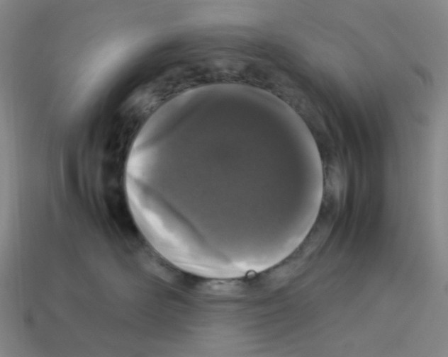 X0000112750526200910011157