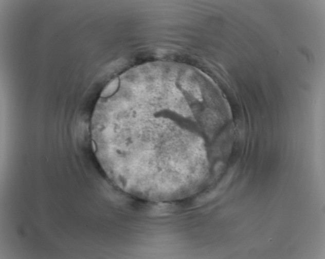 X0000112750527200910011157