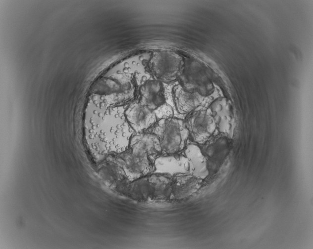 X0000112750529200910011156