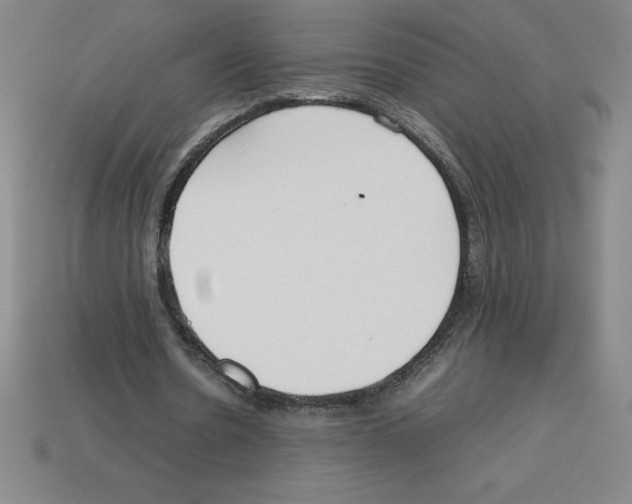 X0000112750530200910011156