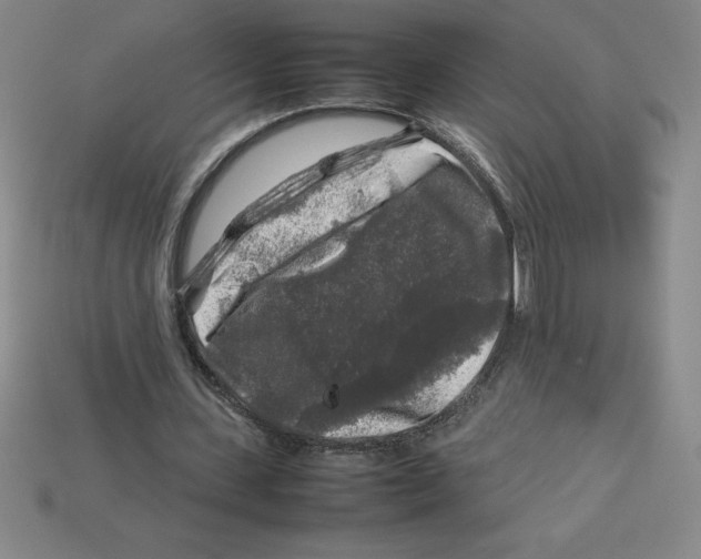 X0000112750531200910011156