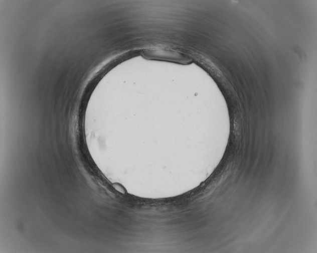 X0000112750532200910011156