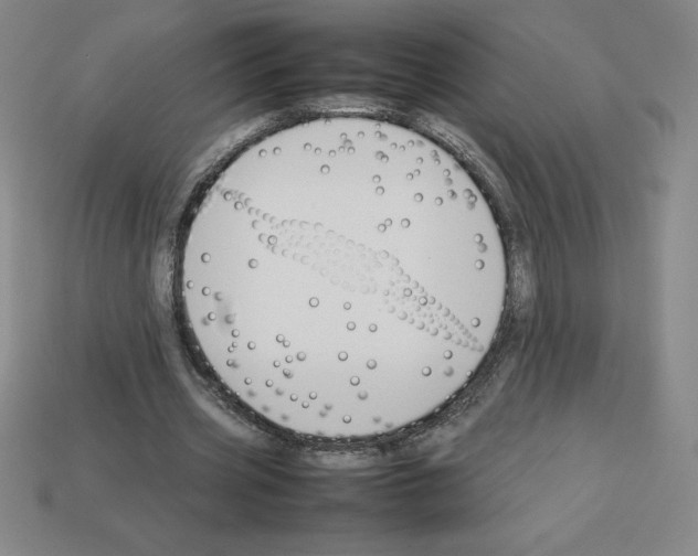 X0000112750533200910011156