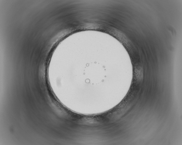 X0000112750534200910011156