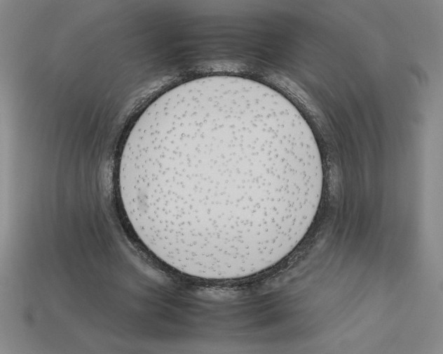 X0000112750537200910011156