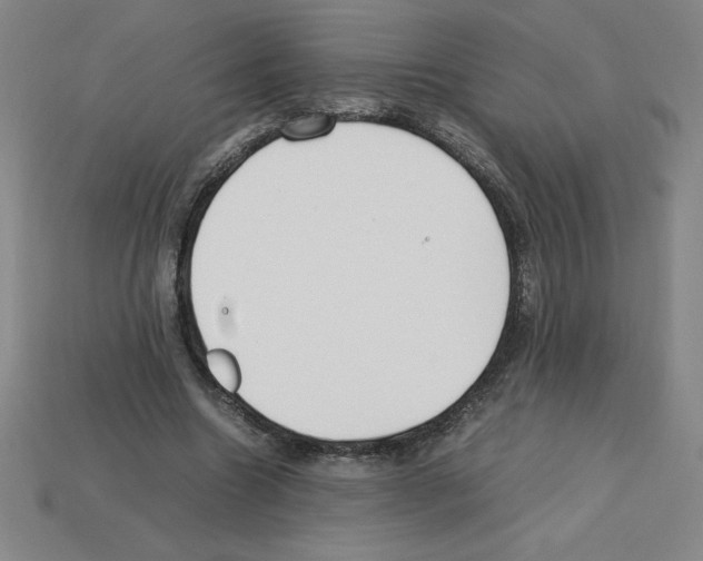 X0000112750538200910011156