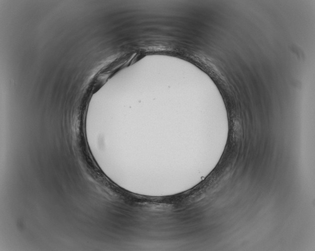 X0000112750539200910011156