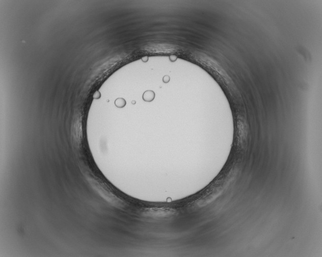 X0000112750541200910011156