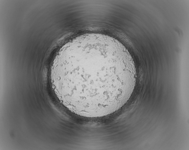 X0000112750542200910011156