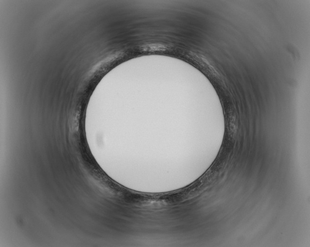 X0000112750543200910011156