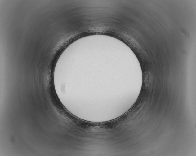 X0000112750544200910011156