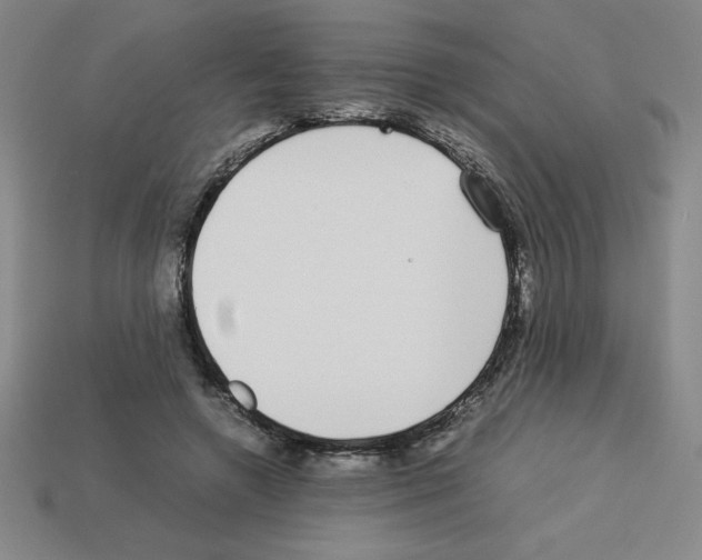 X0000112750546200910011156