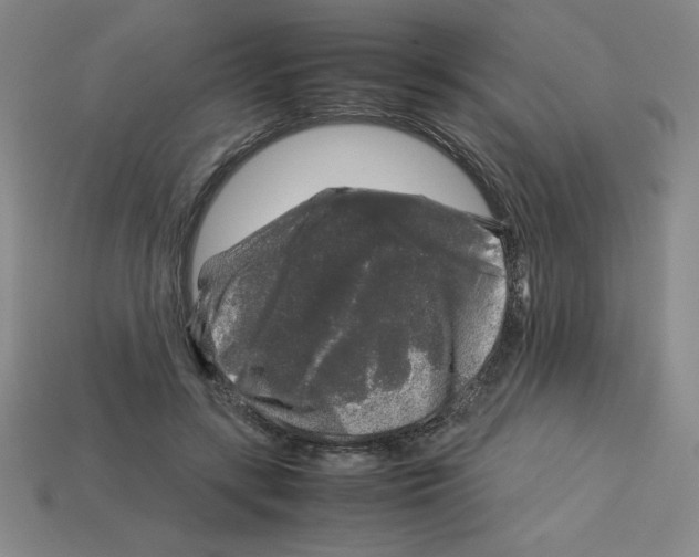 X0000112750547200910011156