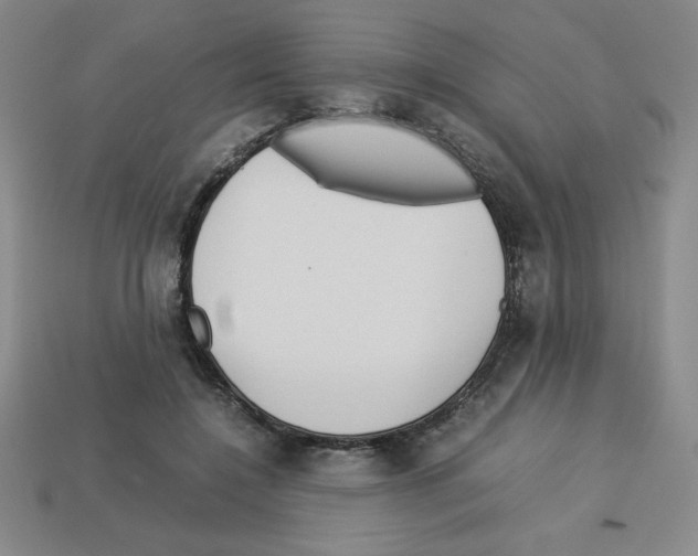 X0000112750548200910011156