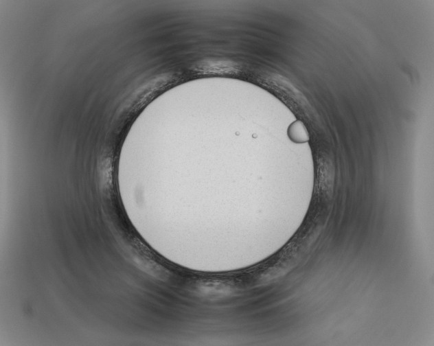 X0000112750549200910011156