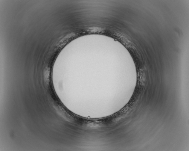 X0000112750550200910011156